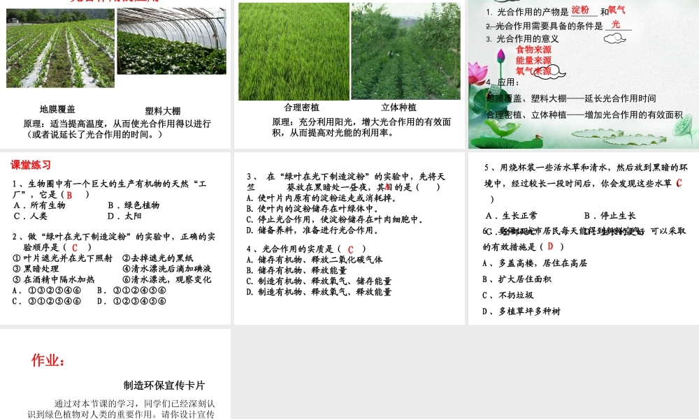 八年级生物上册 第三单元 第三章 第一节 光合作用的产物课件 （新版）冀教版-（新版）冀教级上册生物课件