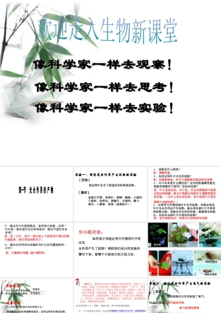 八年级生物上册 第三单元 第三章 第一节 光合作用的产物课件 （新版）冀教版-（新版）冀教级上册生物课件