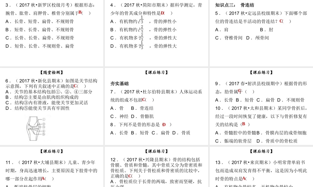 八年级生物上册 第五单元 第15章 第2节 动物运动的形成（第1课时 运动系统的组成、骨、骨连结）课件 （新版）北师大版-（新版）新人教级全册生物课件