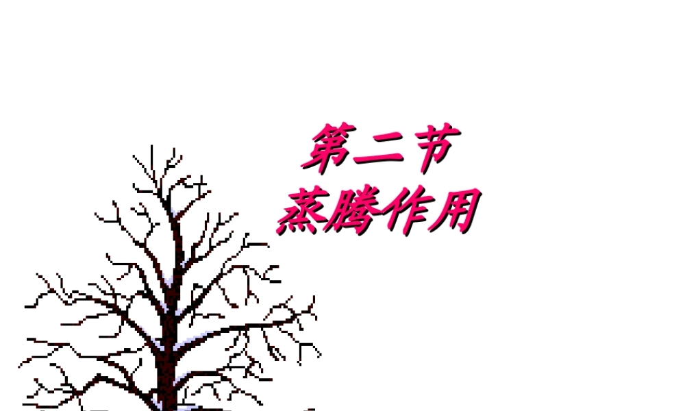 八年级生物上册 第三单元 第四章 第二节 蒸腾作用课件 冀少版-人教版初中八年级上册生物课件