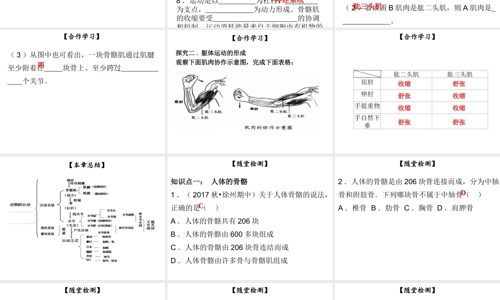 八年级生物上册 第五单元 第15章 第2节 动物运动的形成（第2课时 骨骼、骨骼肌、躯体运动的形成）课件 （新版）北师大版-（新版）北师大版初中八年级上册生物课件