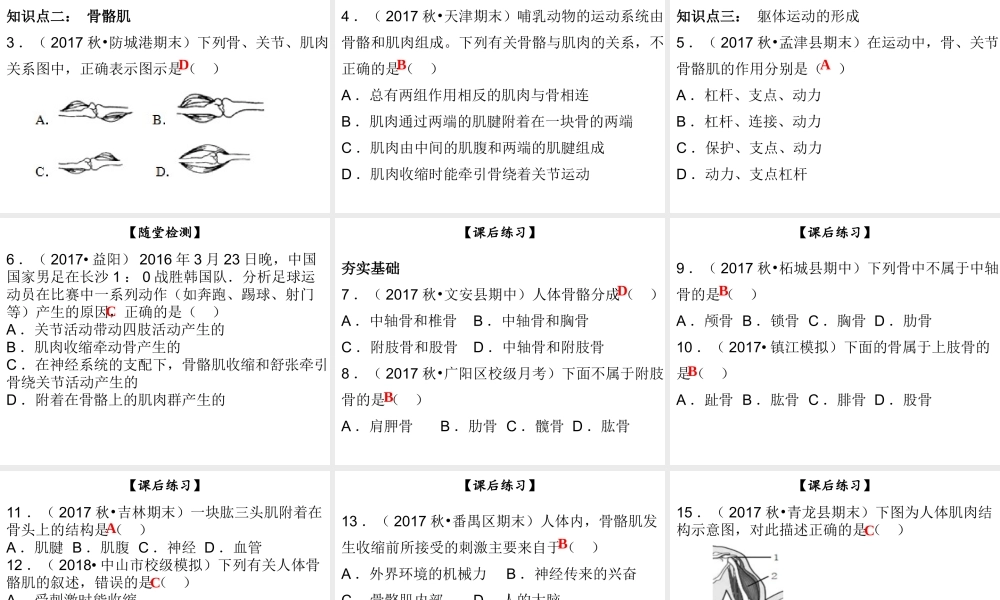 八年级生物上册 第五单元 第15章 第2节 动物运动的形成（第2课时 骨骼、骨骼肌、躯体运动的形成）课件 （新版）北师大版-（新版）北师大版初中八年级上册生物课件