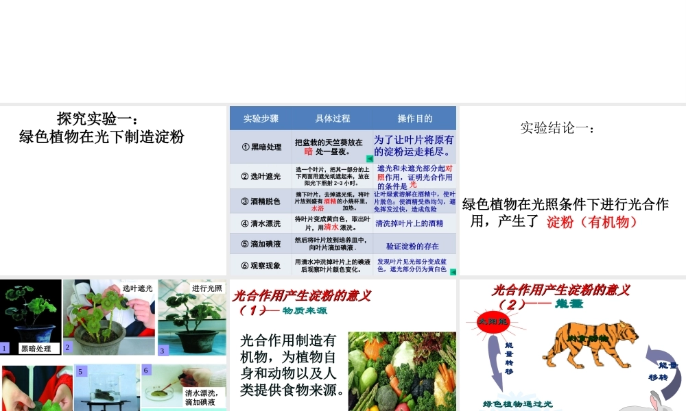 八年级生物上册 第三单元 第三章 第一节 光合作用的产物课件 冀少版-人教版初中八年级上册生物课件