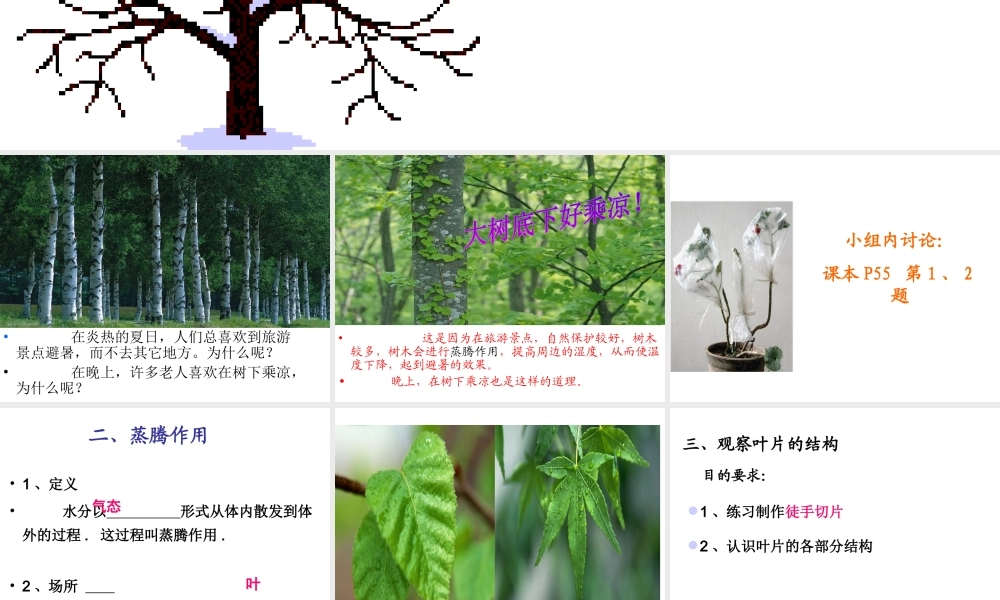 八年级生物上册 第三单元 第四章 第二节 蒸腾作用课件 冀少版-人教级上册生物课件