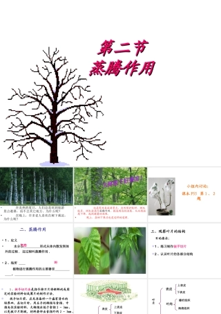 八年级生物上册 第三单元 第四章 第二节 蒸腾作用课件 冀少版-人教级上册生物课件