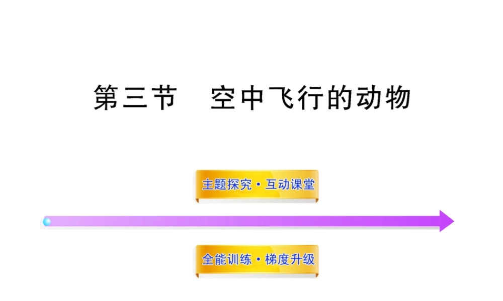 八年级生物上册 第五单元 第一章 第三节 空中飞行的动物课件 新人教版