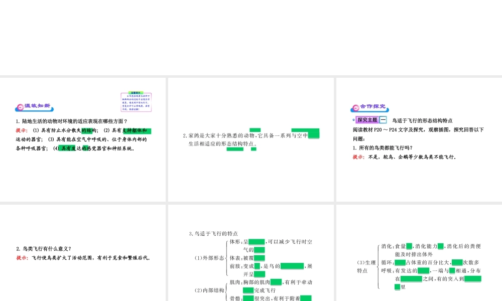 八年级生物上册 第五单元 第一章 第三节 空中飞行的动物课件 新人教版