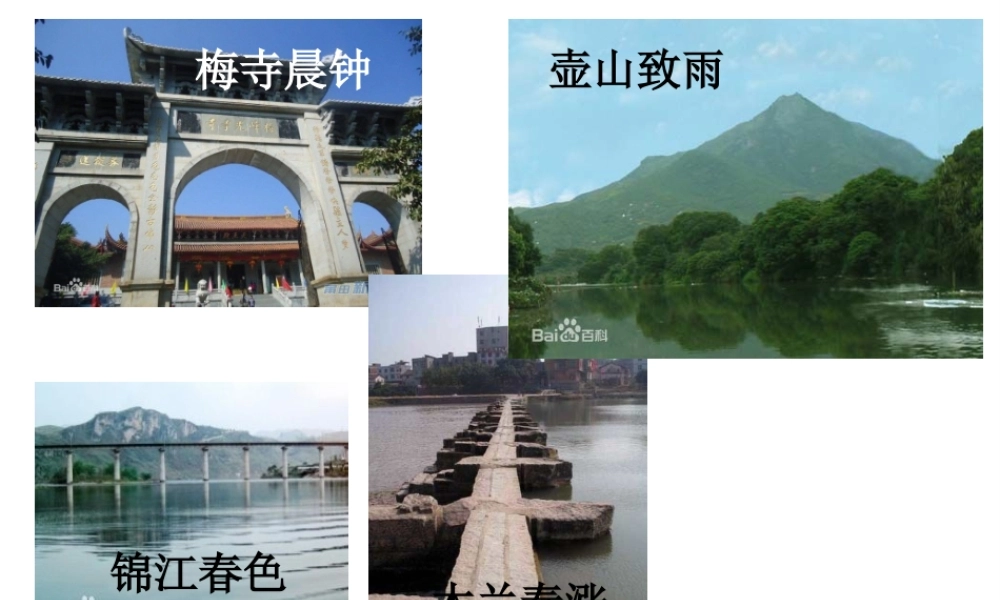 八年级生物上册 第三单元 第四章 第二节蒸腾作用课件 （新版）冀教版-（新版）冀教版初中八年级上册生物课件