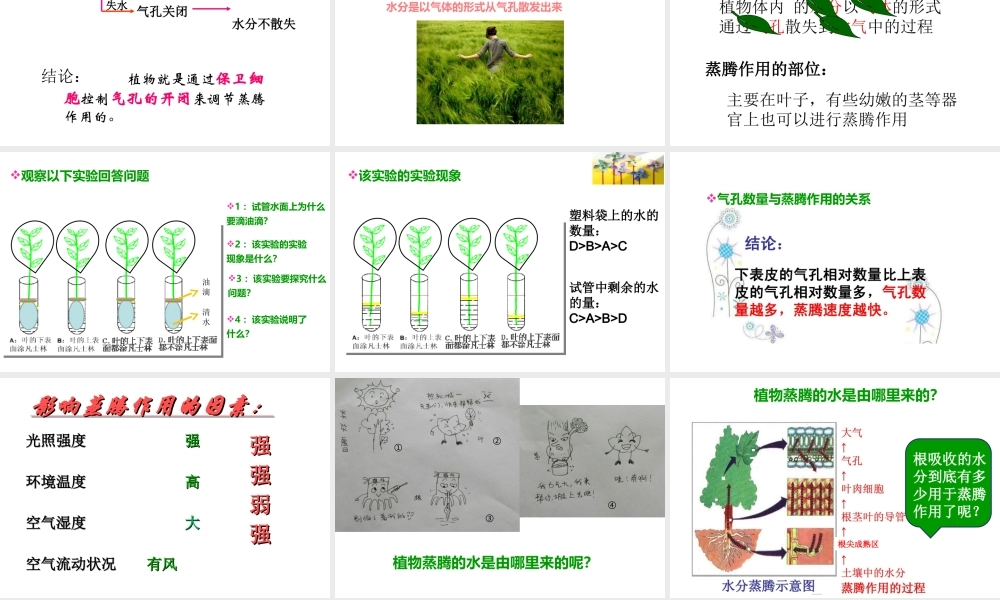 八年级生物上册 第三单元 第四章 第二节蒸腾作用课件 （新版）冀教版-（新版）冀教版初中八年级上册生物课件