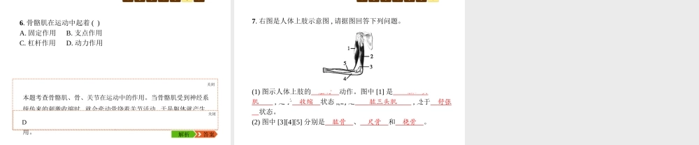 八年级生物上册 第五单元 第15章 第2节 动物运动的形成（第2课时 骨连结、骨骼、骨骼肌、躯体运动）课件 （新版）北师大版-（新版）北师大级上册生物课件