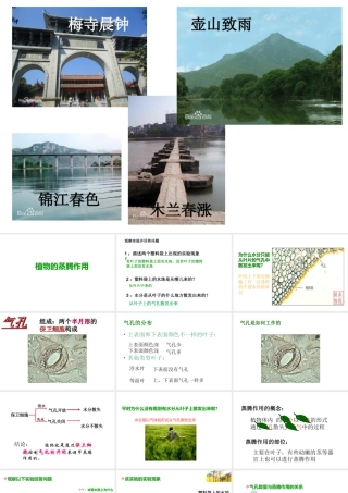 八年级生物上册 第三单元 第四章 第二节蒸腾作用课件 （新版）冀教版-（新版）冀教级上册生物课件