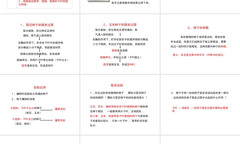 八年级生物上册 第三单元 第一章 第1节《种子萌发的过程》课件1 （新版）冀教版-（新版）冀教版初中八年级上册生物课件