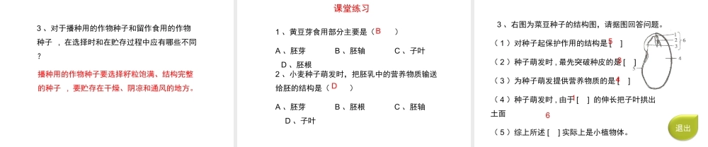 八年级生物上册 第三单元 第一章 第1节《种子萌发的过程》课件1 （新版）冀教版-（新版）冀教版初中八年级上册生物课件