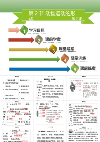 八年级生物上册 第五单元 第15章 第2节 动物运动的形成（第2课时 关节）习题课件 （新版）北师大版-（新版）北师大版初中八年级上册生物课件