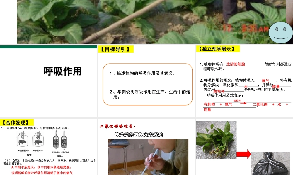 八年级生物上册 第三单元 第四章 第一节 呼吸作用课件 （新版）冀教版-（新版）冀教版初中八年级上册生物课件