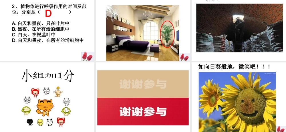 八年级生物上册 第三单元 第四章 第一节 呼吸作用课件 （新版）冀教版-（新版）冀教版初中八年级上册生物课件