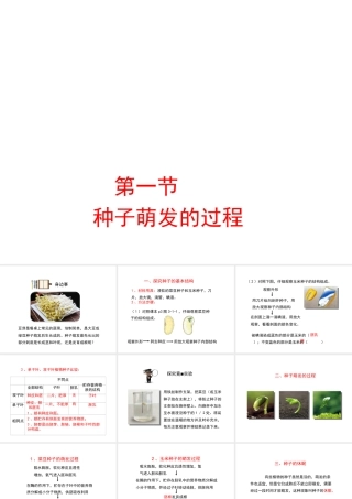 八年级生物上册 第三单元 第一章 第1节《种子萌发的过程》课件1 （新版）冀教版-（新版）冀教级上册生物课件