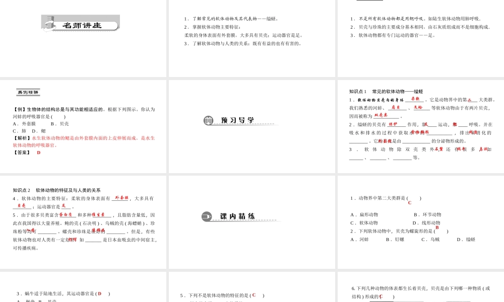 八年级生物上册 第五单元 第一章 第三节 软体动物和节肢动物（第1课时 软体动物）课件 （新版）新人教版-（新版）新人教版初中八年级上册生物课件