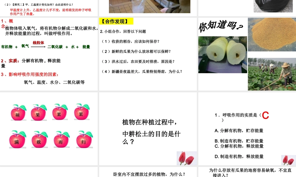 八年级生物上册 第三单元 第四章 第一节 呼吸作用课件 （新版）冀教版-（新版）冀教级上册生物课件