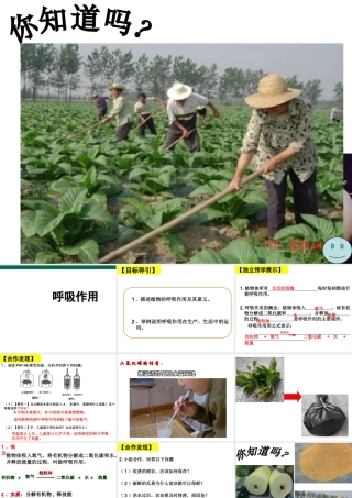 八年级生物上册 第三单元 第四章 第一节 呼吸作用课件 （新版）冀教版-（新版）冀教级上册生物课件