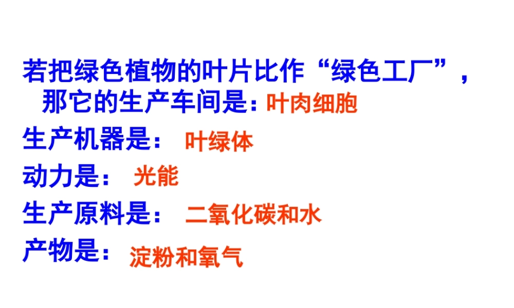 八年级生物上册 第三单元 第四章 第一节 呼吸作用课件 冀少版-人教版初中八年级上册生物课件