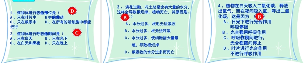 八年级生物上册 第三单元 第四章 第一节 呼吸作用课件 冀少版-人教版初中八年级上册生物课件
