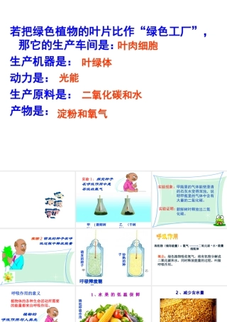 八年级生物上册 第三单元 第四章 第一节 呼吸作用课件 冀少版-人教版初中八年级上册生物课件