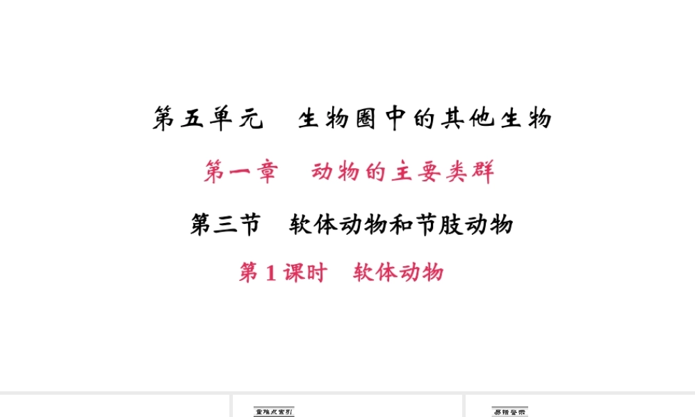 八年级生物上册 第五单元 第一章 第三节 软体动物和节肢动物（第1课时 软体动物）课件 （新版）新人教版-（新版）新人教级上册生物课件