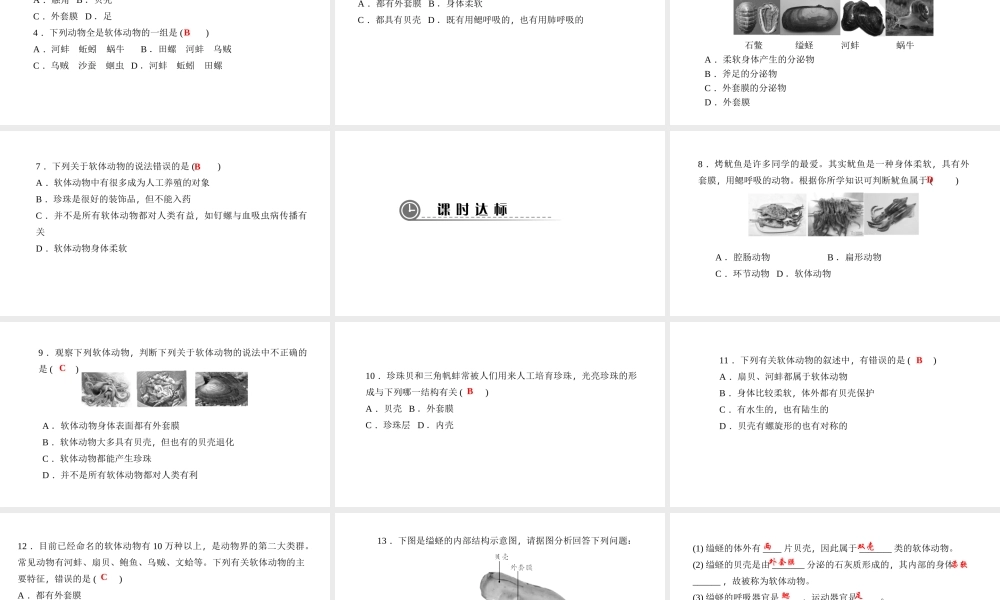 八年级生物上册 第五单元 第一章 第三节 软体动物和节肢动物（第1课时 软体动物）课件 （新版）新人教版-（新版）新人教级上册生物课件