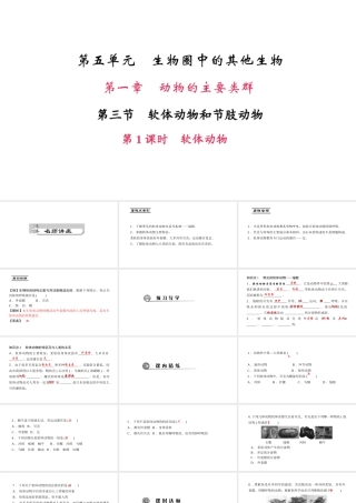 八年级生物上册 第五单元 第一章 第三节 软体动物和节肢动物（第1课时 软体动物）课件 （新版）新人教版-（新版）新人教级上册生物课件