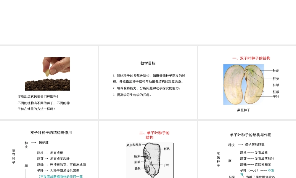八年级生物上册 第三单元 第一章 第1节《种子萌发的过程》课件2 （新版）冀教版-（新版）冀教级上册生物课件