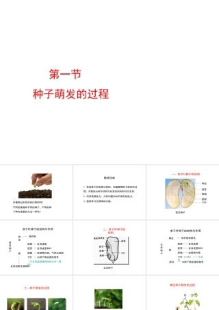 八年级生物上册 第三单元 第一章 第1节《种子萌发的过程》课件2 （新版）冀教版-（新版）冀教级上册生物课件