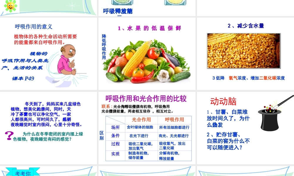 八年级生物上册 第三单元 第四章 第一节 呼吸作用课件 冀少版-人教级上册生物课件