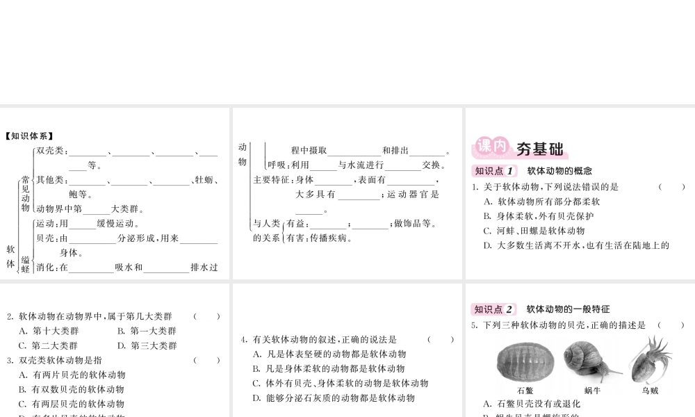 八年级生物上册 第五单元 第一章 第三节 软体动物和节肢动物（第1课时 软体动物）习题课件 （新版）新人教版-（新版）新人教版初中八年级上册生物课件