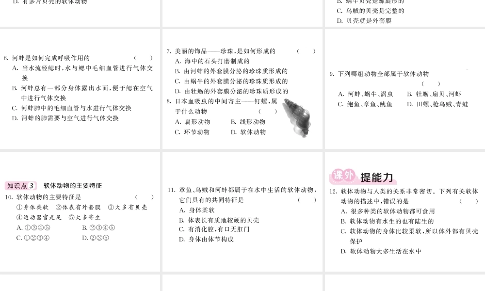 八年级生物上册 第五单元 第一章 第三节 软体动物和节肢动物（第1课时 软体动物）习题课件 （新版）新人教版-（新版）新人教版初中八年级上册生物课件
