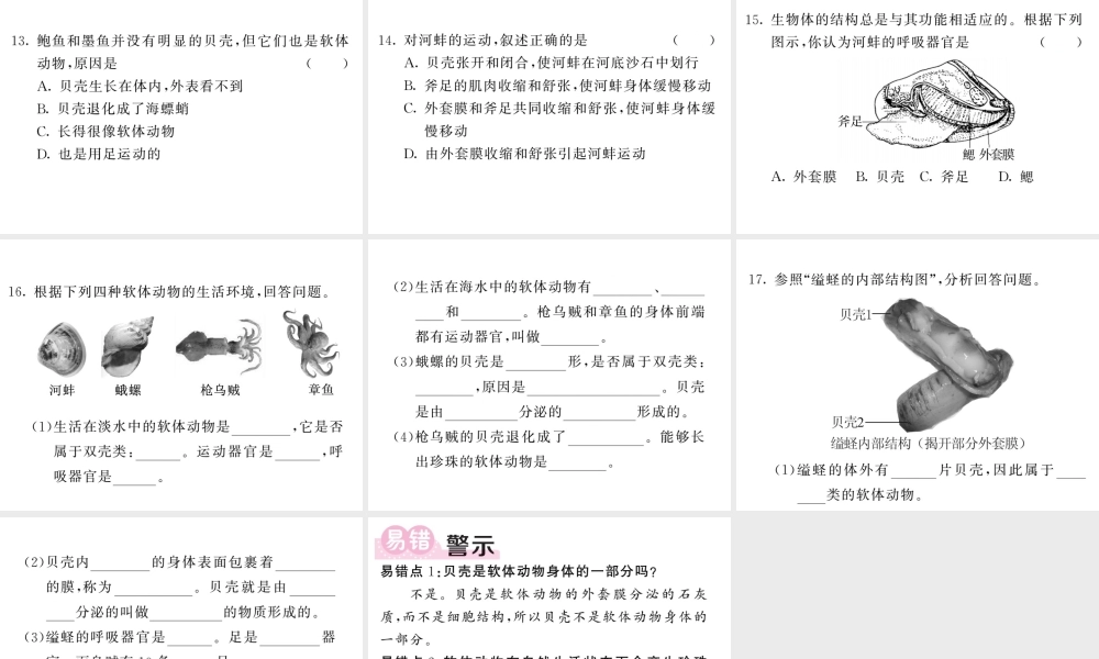 八年级生物上册 第五单元 第一章 第三节 软体动物和节肢动物（第1课时 软体动物）习题课件 （新版）新人教版-（新版）新人教版初中八年级上册生物课件