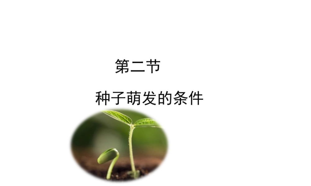 八年级生物上册 第三单元 第一章 第2节《种子萌发的条件》课件1 （新版）冀教版-（新版）冀教版初中八年级上册生物课件