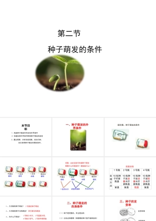 八年级生物上册 第三单元 第一章 第2节《种子萌发的条件》课件1 （新版）冀教版-（新版）冀教版初中八年级上册生物课件