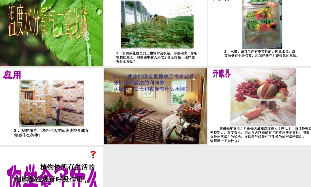 八年级生物上册 第三单元 第四章 第一节呼吸作用课件 （新版）冀教版-（新版）冀教版初中八年级上册生物课件