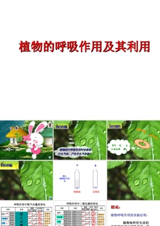 八年级生物上册 第三单元 第四章 第一节呼吸作用课件 （新版）冀教版-（新版）冀教版初中八年级上册生物课件