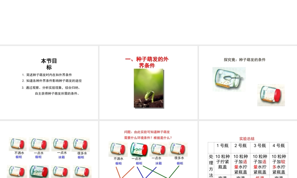 八年级生物上册 第三单元 第一章 第2节《种子萌发的条件》课件1 （新版）冀教版-（新版）冀教级上册生物课件