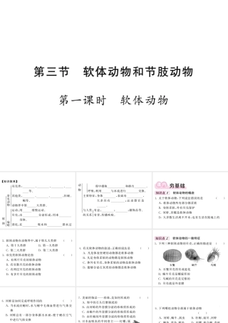 八年级生物上册 第五单元 第一章 第三节 软体动物和节肢动物（第1课时 软体动物）习题课件 （新版）新人教版-（新版）新人教级上册生物课件