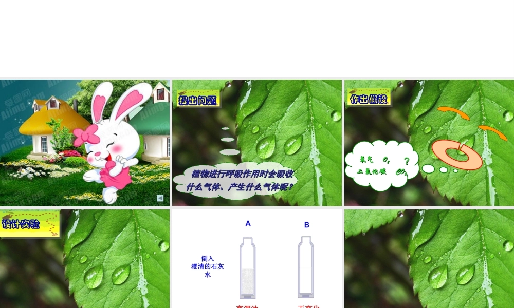 八年级生物上册 第三单元 第四章 第一节呼吸作用课件 （新版）冀教版-（新版）冀教级上册生物课件