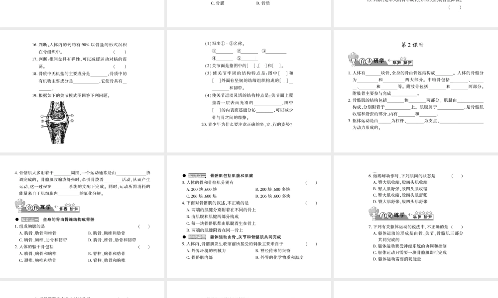 八年级生物上册 第五单元 第15章 第2节 动物运动的形成习题课件 （新版）北师大版-（新版）北师大级上册生物课件