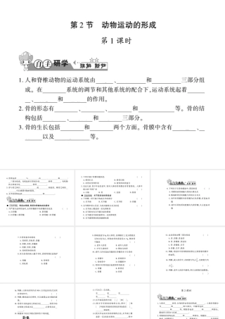 八年级生物上册 第五单元 第15章 第2节 动物运动的形成习题课件 （新版）北师大版-（新版）北师大级上册生物课件