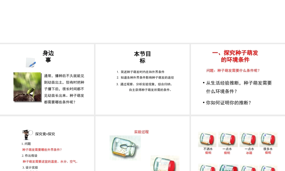 八年级生物上册 第三单元 第一章 第2节《种子萌发的条件》课件2 （新版）冀教版-（新版）冀教版初中八年级上册生物课件