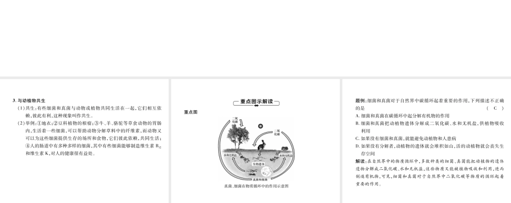 八年级生物上册 第5单元 第4章 第4节 细菌和真菌在自然界中的作用练习课件 （新版）新人教版-（新版）新人教级上册生物课件