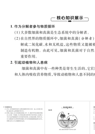 八年级生物上册 第5单元 第4章 第4节 细菌和真菌在自然界中的作用练习课件 （新版）新人教版-（新版）新人教级上册生物课件