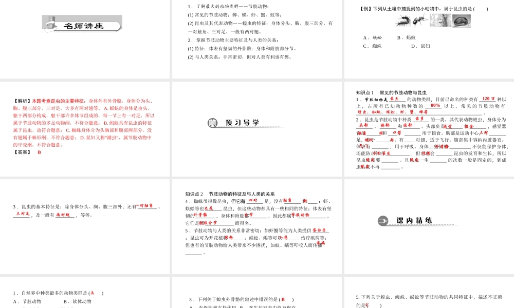 八年级生物上册 第五单元 第一章 第三节 软体动物和节肢动物（第2课时 节肢动物）课件 （新版）新人教版-（新版）新人教版初中八年级上册生物课件