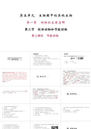 八年级生物上册 第五单元 第一章 第三节 软体动物和节肢动物（第2课时 节肢动物）课件 （新版）新人教版-（新版）新人教版初中八年级上册生物课件